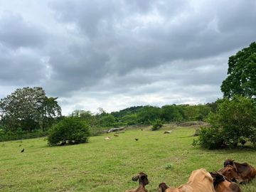 finca de venta en chone