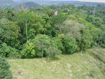 VENDO HERMOSA QUINTA 3.35 HECTAREAS