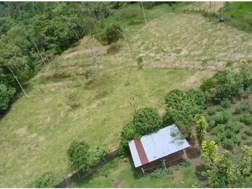 VENDO HERMOSA QUINTA 3.35 HECTAREAS