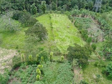 VENDO HERMOSA QUINTA 3.35 HECTAREAS
