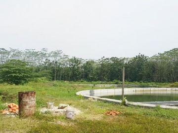 Dijual Tanah Kavling Tambak 4 Hektar di Anyer Carita Banten