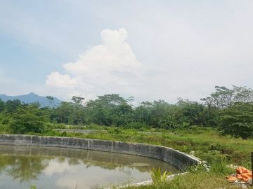 Dijual Tanah Kavling Tambak 4 Hektar di Anyer Carita Banten