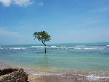 Dijual Tanah Kavling Tambak 4 Hektar di Anyer Carita Banten