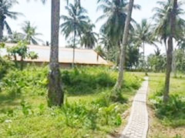 Dijual Tanah Kavling Tambak 4 Hektar di Anyer Carita Banten