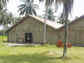 Dijual Tanah Kavling Tambak 4 Hektar di Anyer Carita Banten