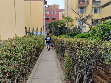 CIUDAD SATELITE REMATO DPTO. 1ER PISO 64M2 $55 MIL DOLARES CONTADO, VISTA INTERIOR, FRENTE COMISARIA IGUNZA, ALT. 30 AV. TOMAS VALLE