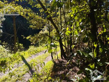 BELLO TERRENO UBICADO EN PRIVADA A 15 MINUTOS DE MINERAL DEL CHICO, ZONA DE CARBONERAS