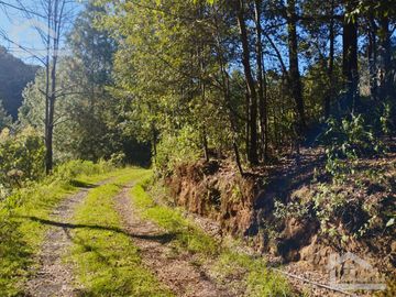 BELLO TERRENO UBICADO EN PRIVADA A 15 MINUTOS DE MINERAL DEL CHICO, ZONA DE CARBONERAS