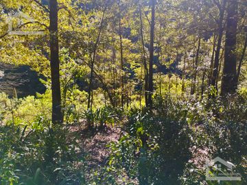 BELLO TERRENO UBICADO EN PRIVADA A 15 MINUTOS DE MINERAL DEL CHICO, ZONA DE CARBONERAS
