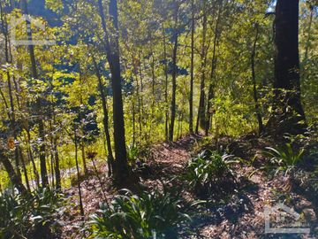 BELLO TERRENO UBICADO EN PRIVADA A 15 MINUTOS DE MINERAL DEL CHICO, ZONA DE CARBONERAS
