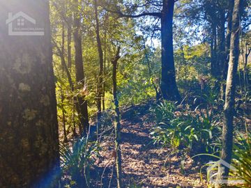 BELLO TERRENO UBICADO EN PRIVADA A 15 MINUTOS DE MINERAL DEL CHICO, ZONA DE CARBONERAS