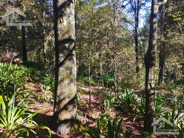 BELLO TERRENO UBICADO EN PRIVADA A 15 MINUTOS DE MINERAL DEL CHICO, ZONA DE CARBONERAS