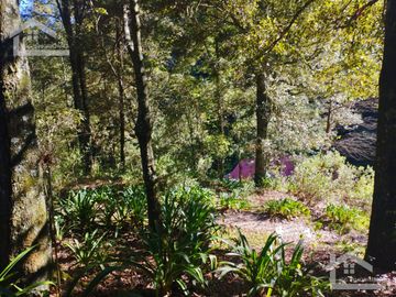 BELLO TERRENO UBICADO EN PRIVADA A 15 MINUTOS DE MINERAL DEL CHICO, ZONA DE CARBONERAS
