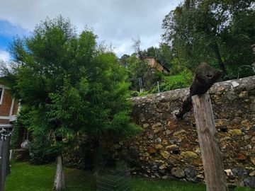 SE VENDE CASA EN MINERAL DEL CHICO, MUY CERCA DEL CENTRO COLINDA CON EL ARROYO