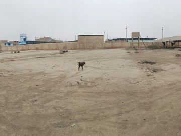 VENDO TERRENO CERCADO EN PTE.PIEDRA KM 34 PAN NORTE(RDM)