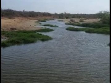 Vendo Hacienda en la costa Santa Elena Sector Chanduy 2.794 ha ca