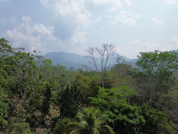 Este complejo tiene todo para ser un 'boom' turístico en Tarapoto, solo falta un empresario con visión que despierte su potencial. 😉