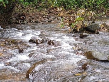FINCA DE VENTA EN SECTOR PEDRO VICENTE MALDONADO, SAN MIGUEL DE LOS BANCOS PICHINCHA ECUADOR