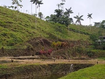 FINCA DE VENTA EN SECTOR PEDRO VICENTE MALDONADO, SAN MIGUEL DE LOS BANCOS PICHINCHA ECUADOR