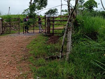 FINCA DE VENTA EN SECTOR PEDRO VICENTE MALDONADO, SAN MIGUEL DE LOS BANCOS PICHINCHA ECUADOR