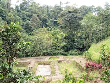 FINCA DE VENTA EN SECTOR PEDRO VICENTE MALDONADO, SAN MIGUEL DE LOS BANCOS PICHINCHA ECUADOR