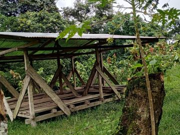 FINCA DE VENTA EN SECTOR PEDRO VICENTE MALDONADO, SAN MIGUEL DE LOS BANCOS PICHINCHA ECUADOR