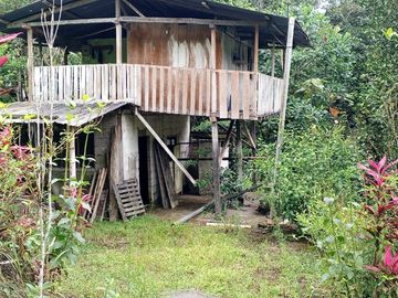 FINCA DE VENTA EN SECTOR PEDRO VICENTE MALDONADO, SAN MIGUEL DE LOS BANCOS PICHINCHA ECUADOR