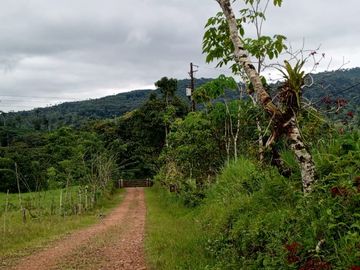 FINCA DE VENTA EN SECTOR PEDRO VICENTE MALDONADO, SAN MIGUEL DE LOS BANCOS PICHINCHA ECUADOR