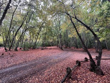 Se vende casa en precordillera, espectacular entorno natural, cuenta con agua y luz, Curicó
