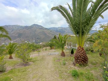 TERRENOS EN VENTA, IDEALES PARA QUINTAS, Sector: PAUTE