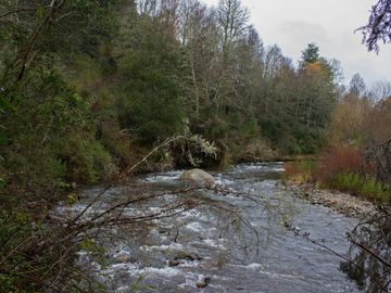Excelente Parcela de 2,2 ha a orilla de Río Mañío en Panguipulli