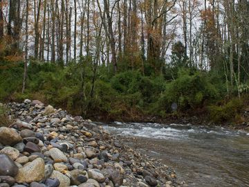 Excelente Parcela de 2,2 ha a orilla de Río Mañío en Panguipulli