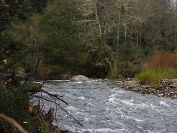 Excelente Parcela de 2,2 ha a orilla de Río Mañío en Panguipulli