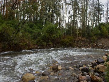 Excelente Parcela de 2,2 ha a orilla de Río Mañío en Panguipulli