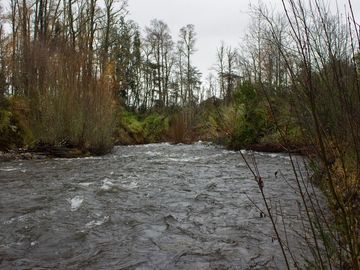 Excelente Parcela de 2,2 ha a orilla de Río Mañío en Panguipulli