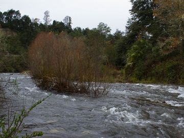 Excelente Parcela de 2,2 ha a orilla de Río Mañío en Panguipulli
