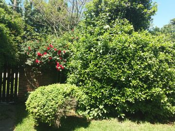 VENDO IMPORTANTE CHALET EN MAR DEL PLATA