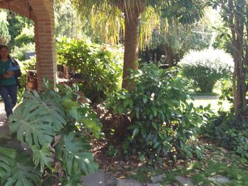 VENDO IMPORTANTE CHALET EN MAR DEL PLATA