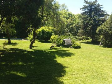 VENDO IMPORTANTE CHALET EN MAR DEL PLATA