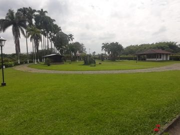 Finca turistica en venta en Montenegro quindio