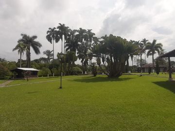 Finca turistica en venta en Montenegro quindio