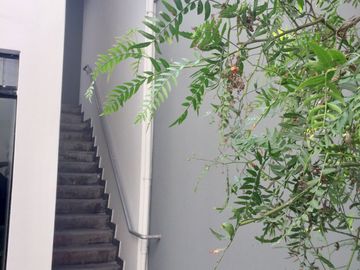 VENDO HERMOSA CASA PARA FAMILIAS EN URB LAS GARDENIAS, SURCO