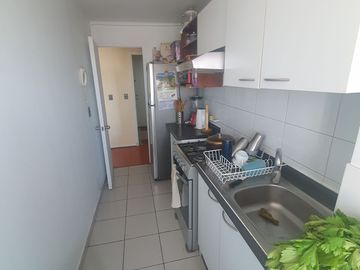 Para Inversión, se vende departamentos arrendados. Excelente Estado