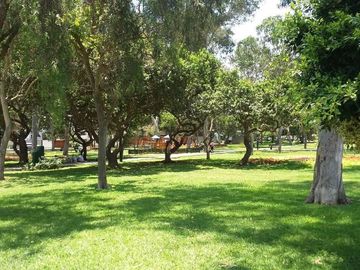 VENDO HERMOSO DPTO ESTILO CASA VISTA A PARQUE - CHACARILLA SURCO