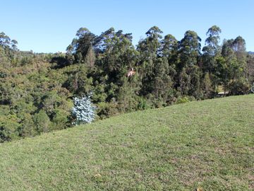 Beautiful Home in Gated Residential Community - Surrounded by Mountian Views