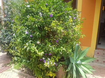 VENDO CASA EN CONJUNTO