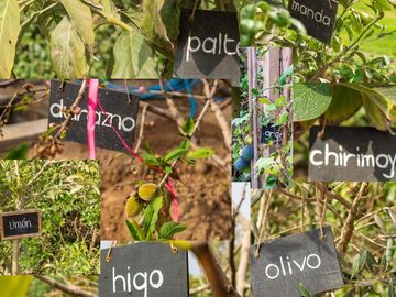 LINDA CASA DE CAMPO CON PRECIOSA ÁREA VERDE y ÁRBOLES FRUTALES 🔆🏡