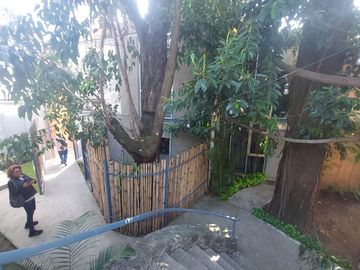 $2,600,000.00 CASA PEQUEÑA TIPO LOFT INDUSTRIAL ECOLÓGICA CON VIGILANCIA EN LOMAS DE CORTÉS