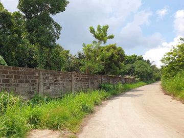 42,000 sqm Farm Lot fro Sale at Indang, Cavite
