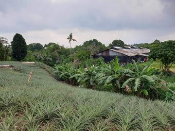 42,000 sqm Farm Lot fro Sale at Indang, Cavite